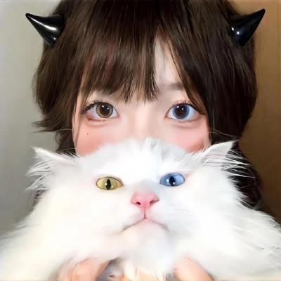 东邻西舍第六季